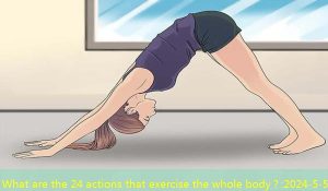 What are the 24 actions that exercise the whole body？
